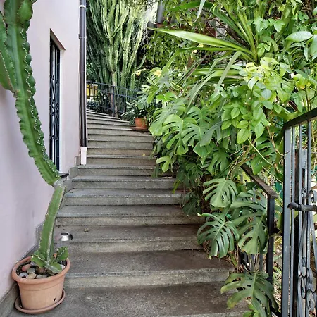 Bella Vista *