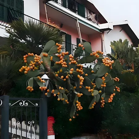 Bella Vista